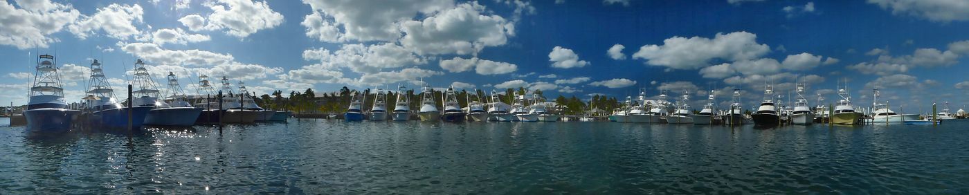 Click to See Next Image